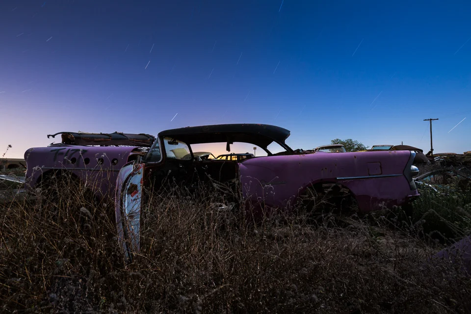 Pink Century with portholes in pastels 