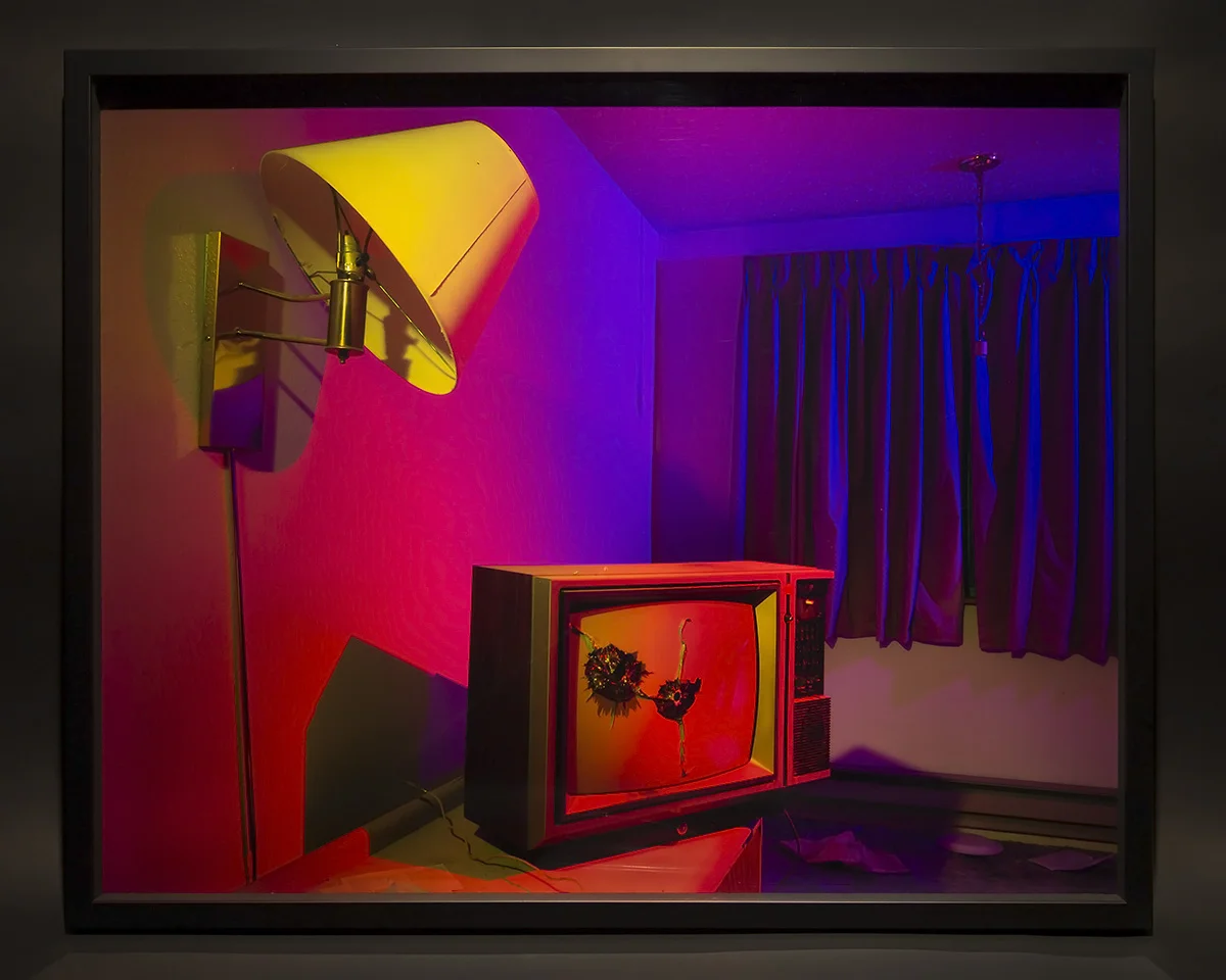 Troy Paiva - Bobby Peru's Room (2013)