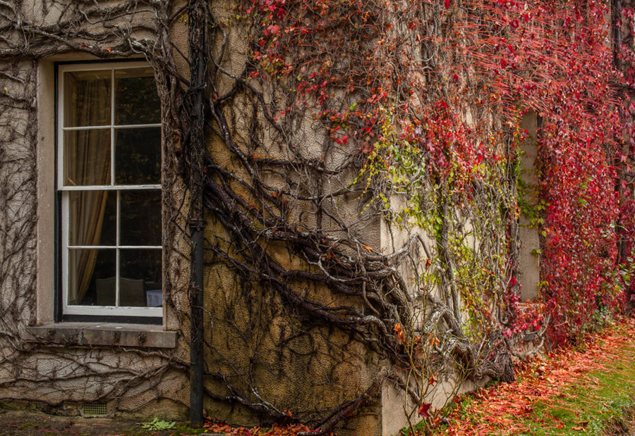 Timescape, Newport House, County Mayo, Ireland