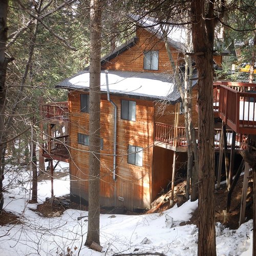 Larchmont Cabin