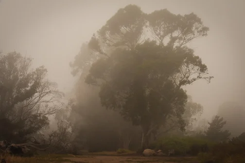 Disappearing-32.jpg