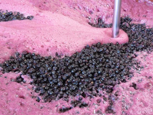 A Shiraz ferment at Inkwell