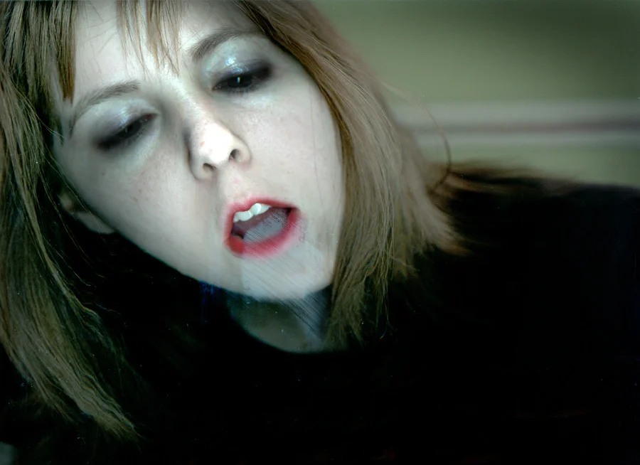 3.my portrait from they be we compiled by katelan foisy.jpg