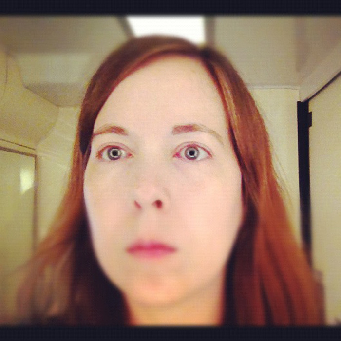 Self-Portrait in Amtrak Bathroom