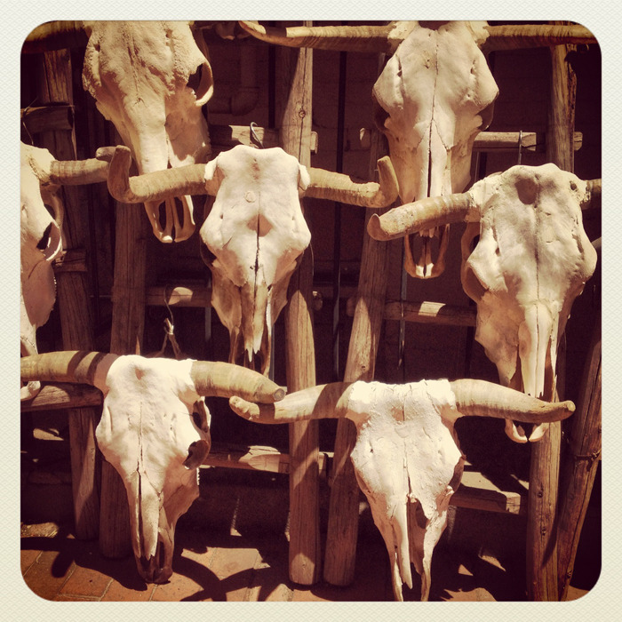 Skulls