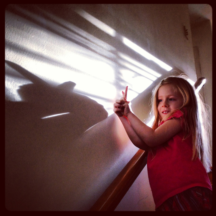 Shadow Puppets
