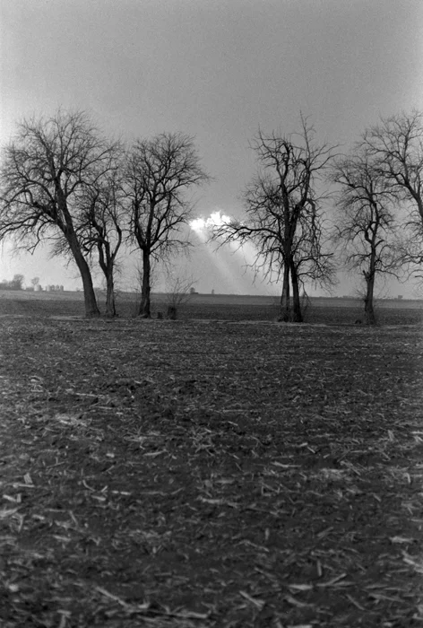 Middle of Nowhere, Illinois, 1996