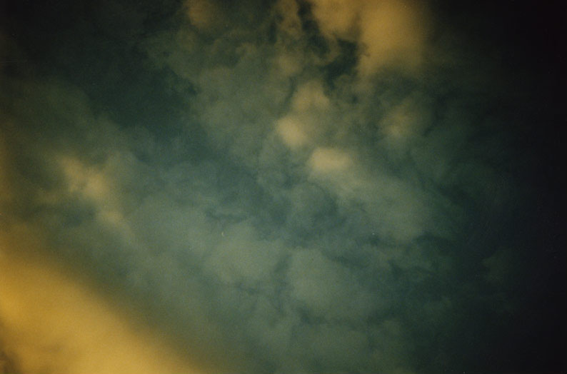 Photo: Joel Halmsworth