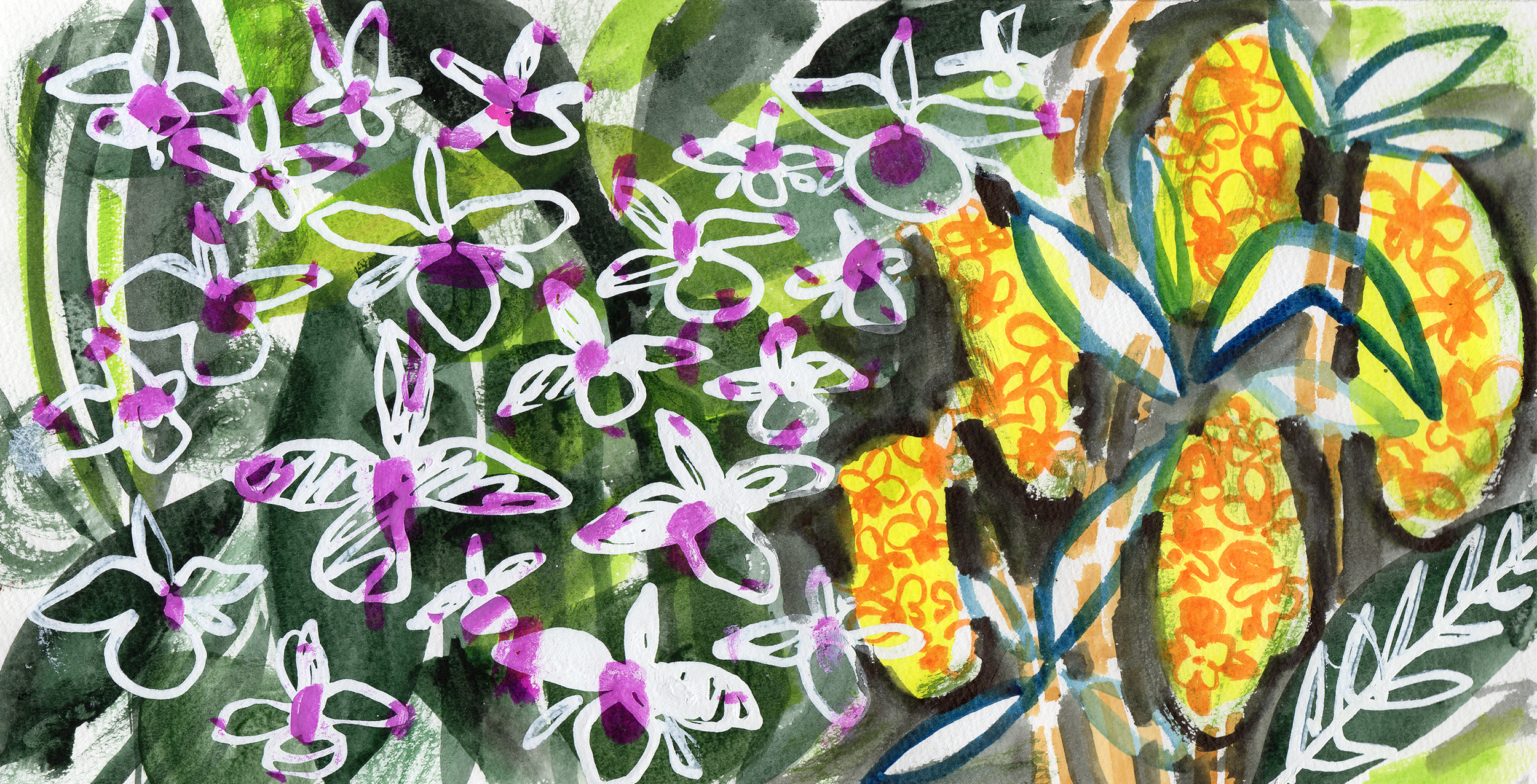 Orchids.png