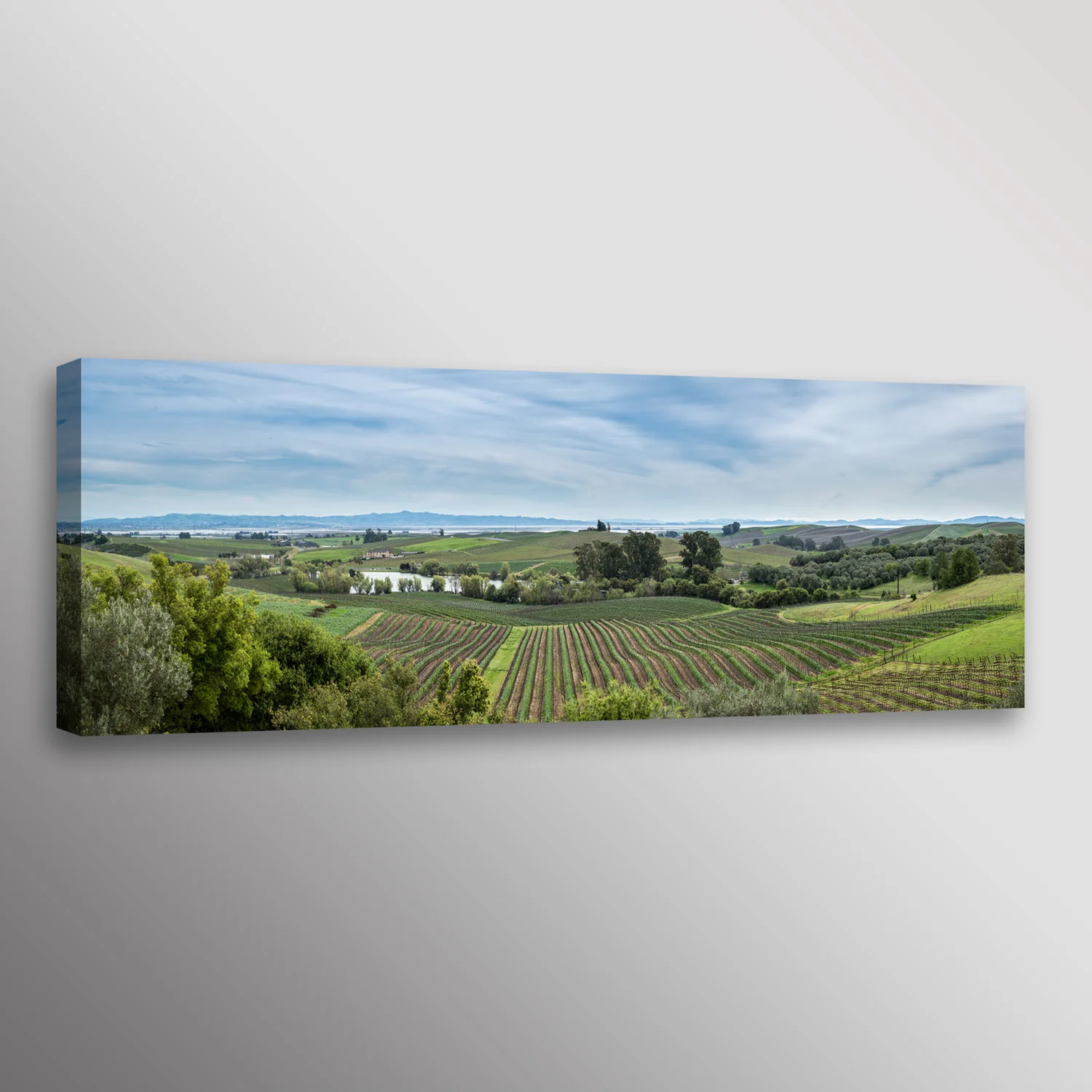 Winery in Wine Country Napa Sonoma Vinyard Wall Art