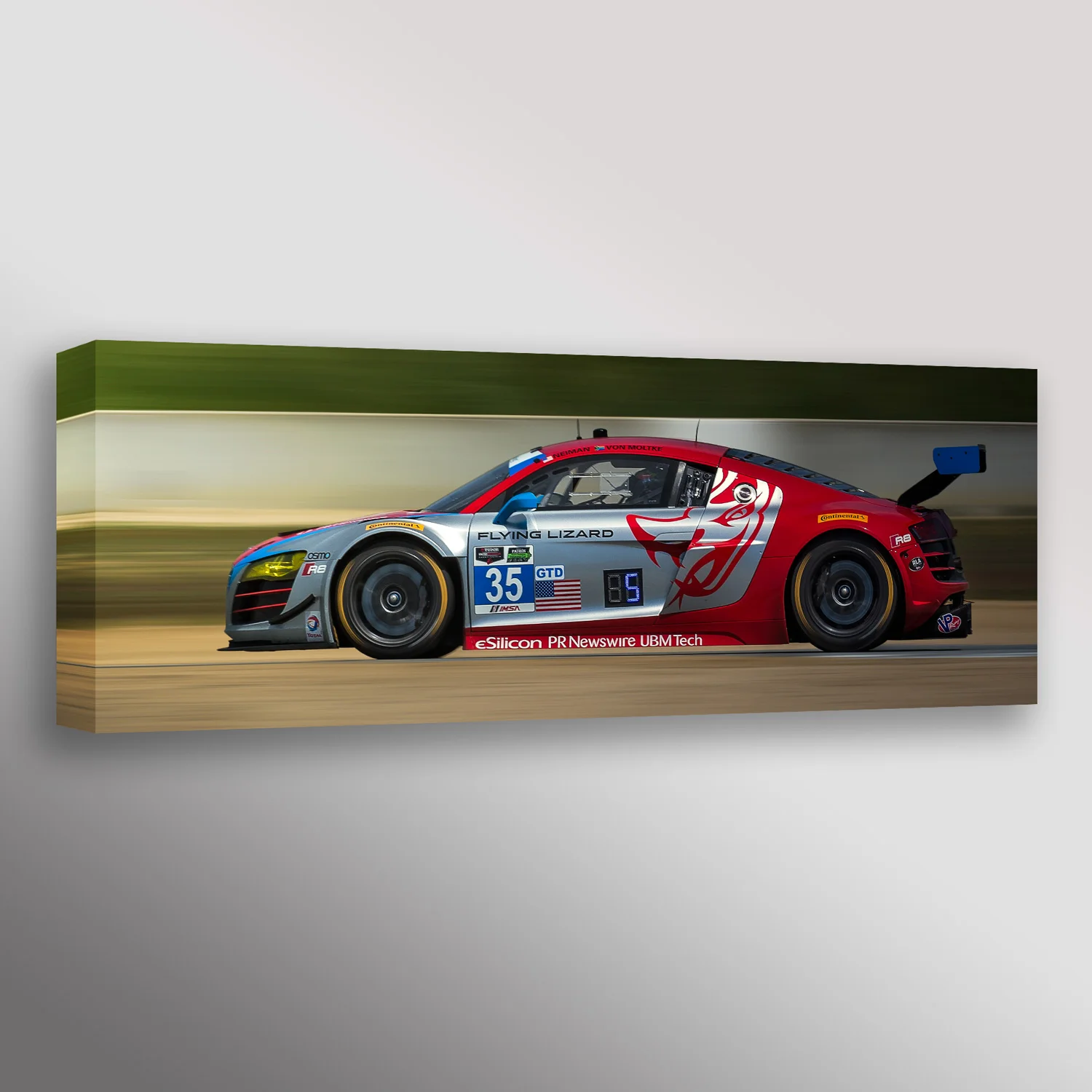Audi R8R Flying Lizard Racecar Car Photo Automotive Wall Art Canvas Print