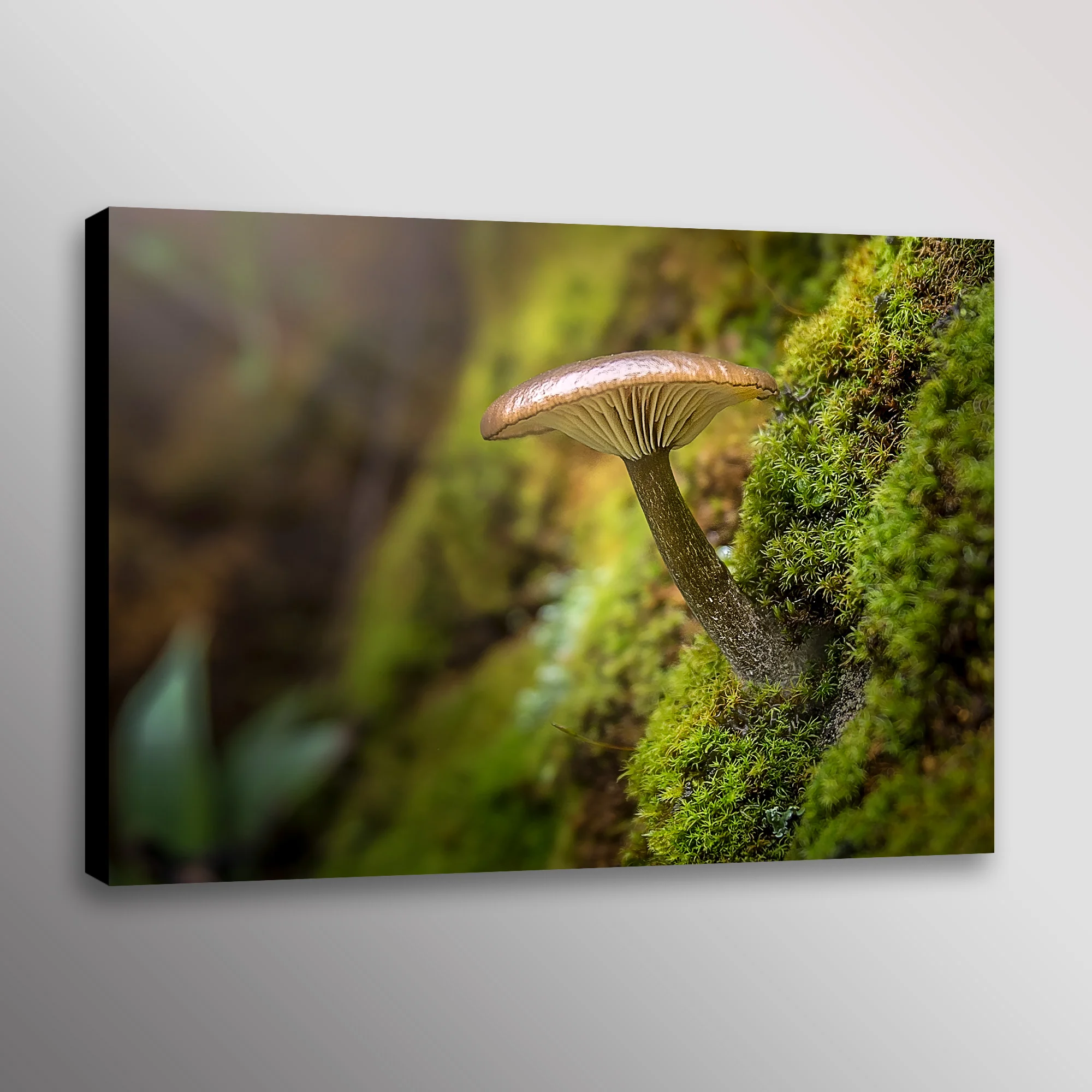 Wild Mushroom Nature Photography Wall Art Canvas Print