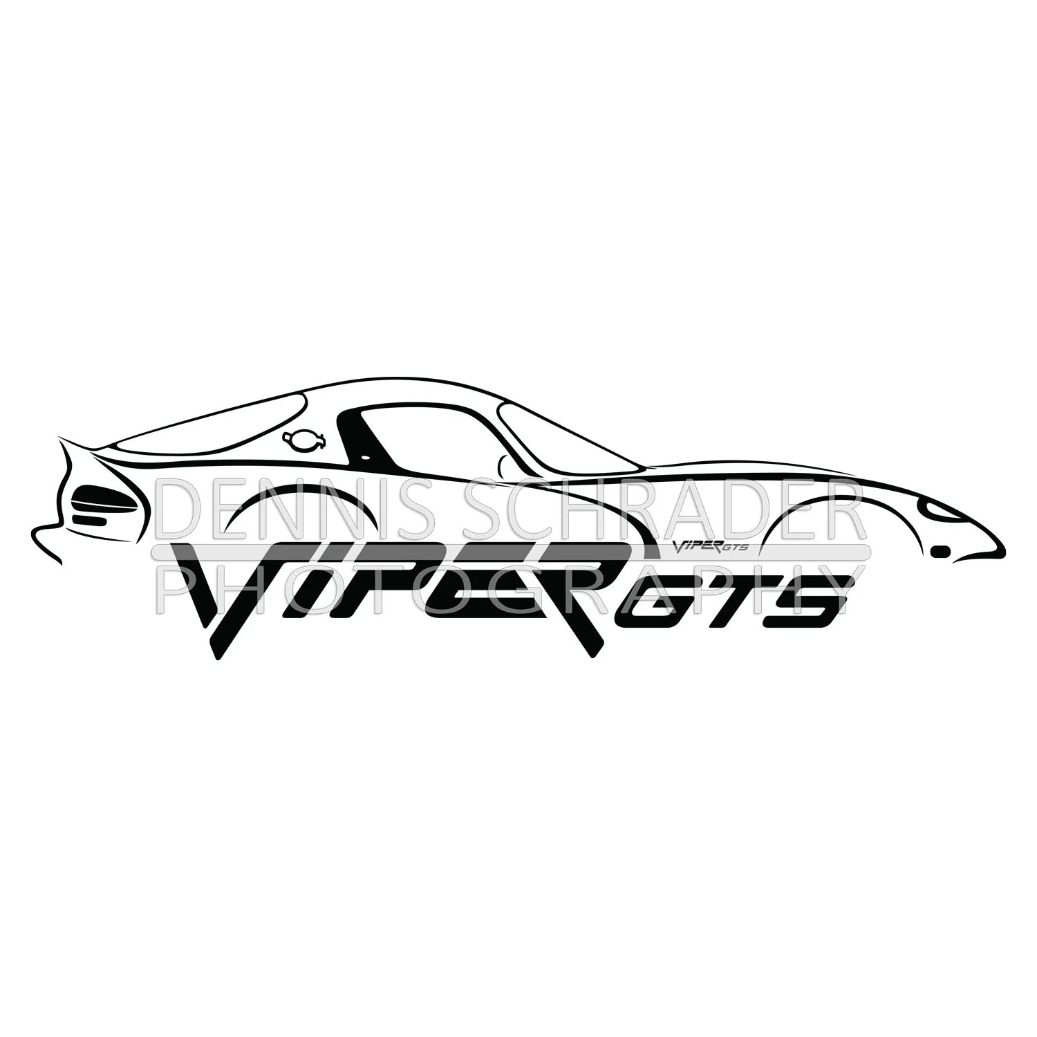 Viper-GTS-Sil-with-Logo-Sample.jpg