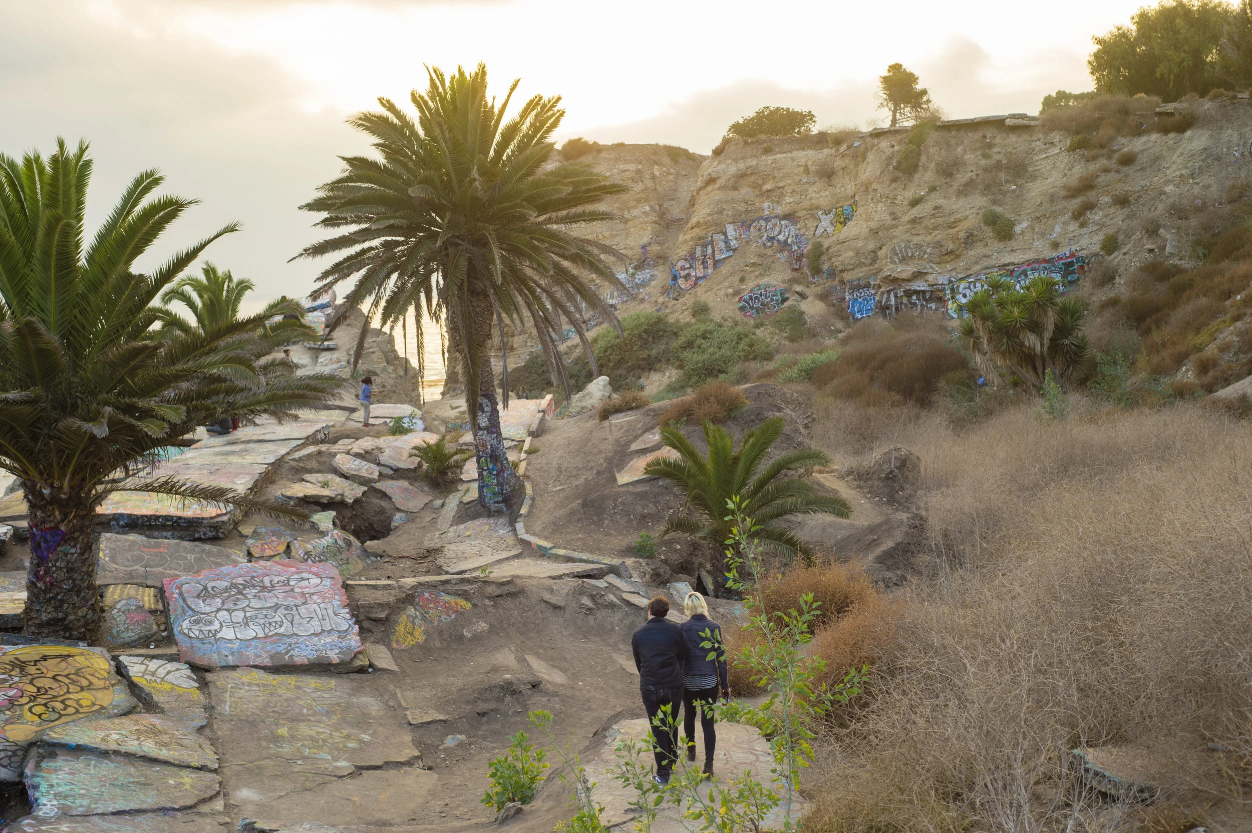 San Francisco and LA 2017-LA-0178.jpg
