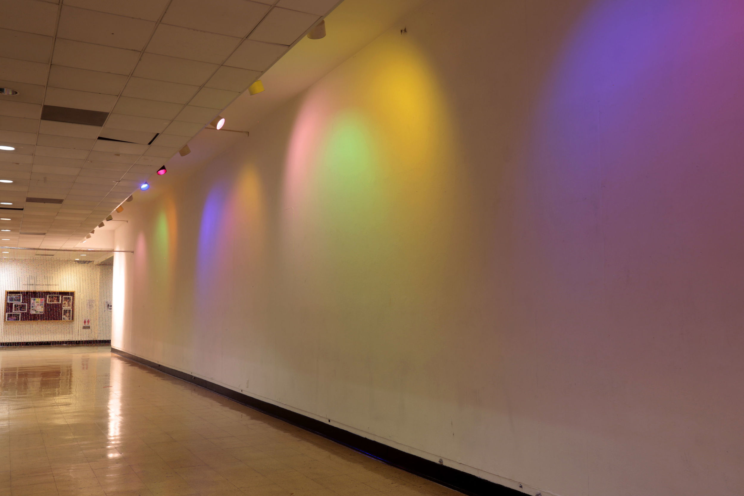 Womp Womp Womp Womp (Installation view) (2013)