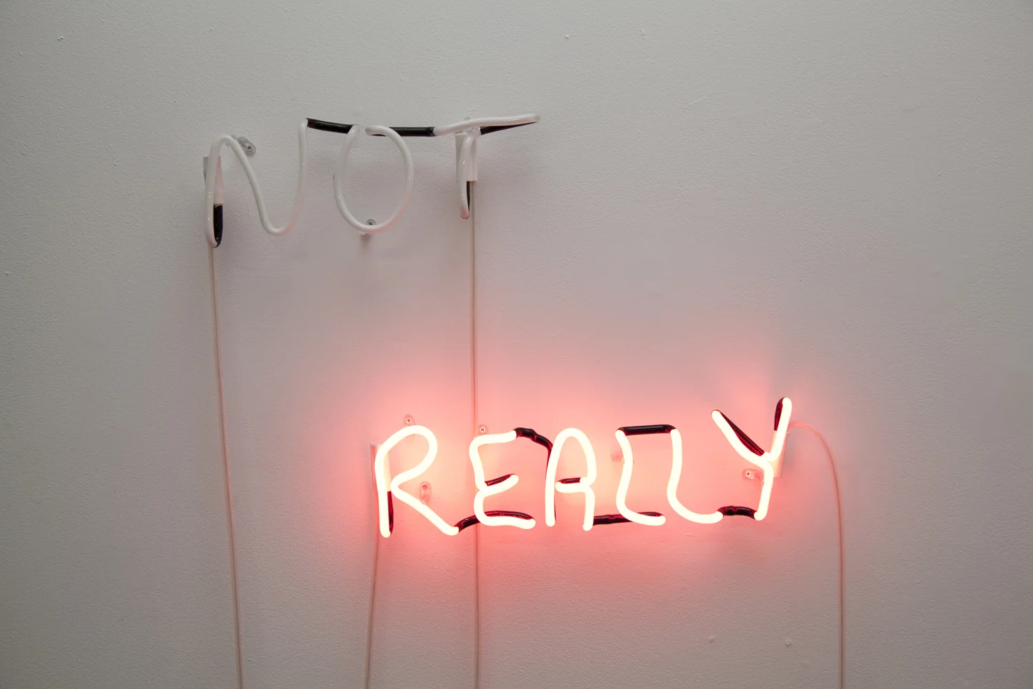 Not Really (2013) Neon, 0.5 x 0.8m