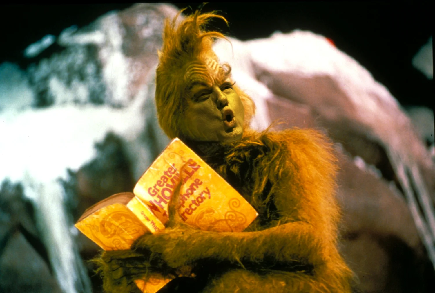 Grinch 13b.jpg
