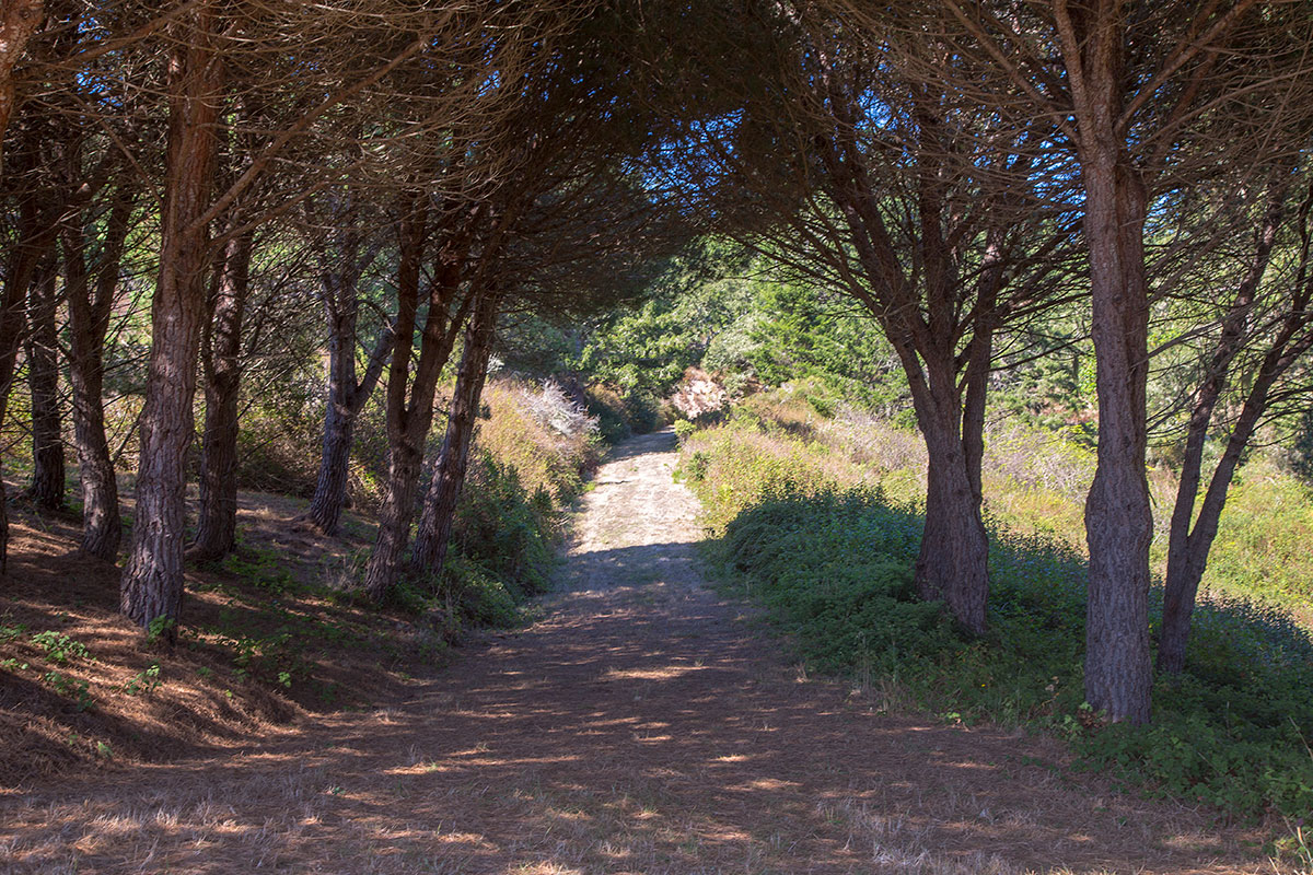Nature and Nurture