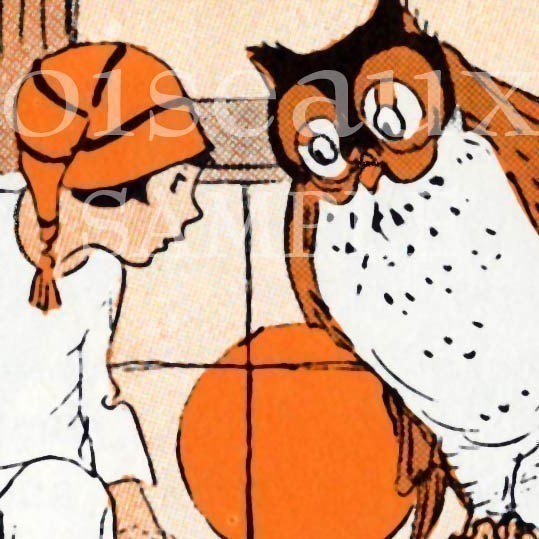 nightowlBIG.jpg