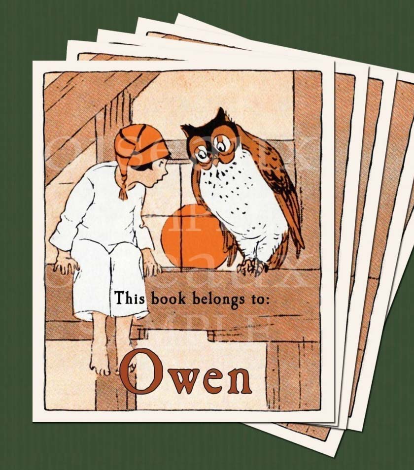 show NightOwl.jpg