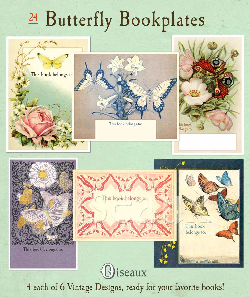 Vintage Flower Blank Sticker Book Cover Graphic by