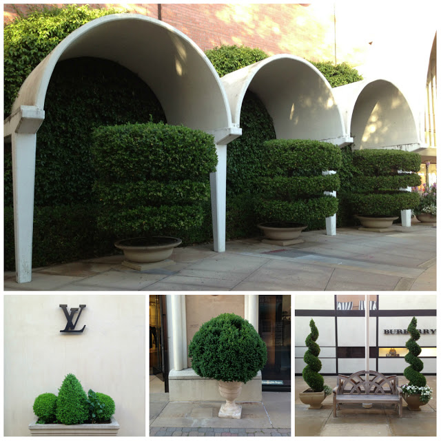 Topiary+Collage.jpg