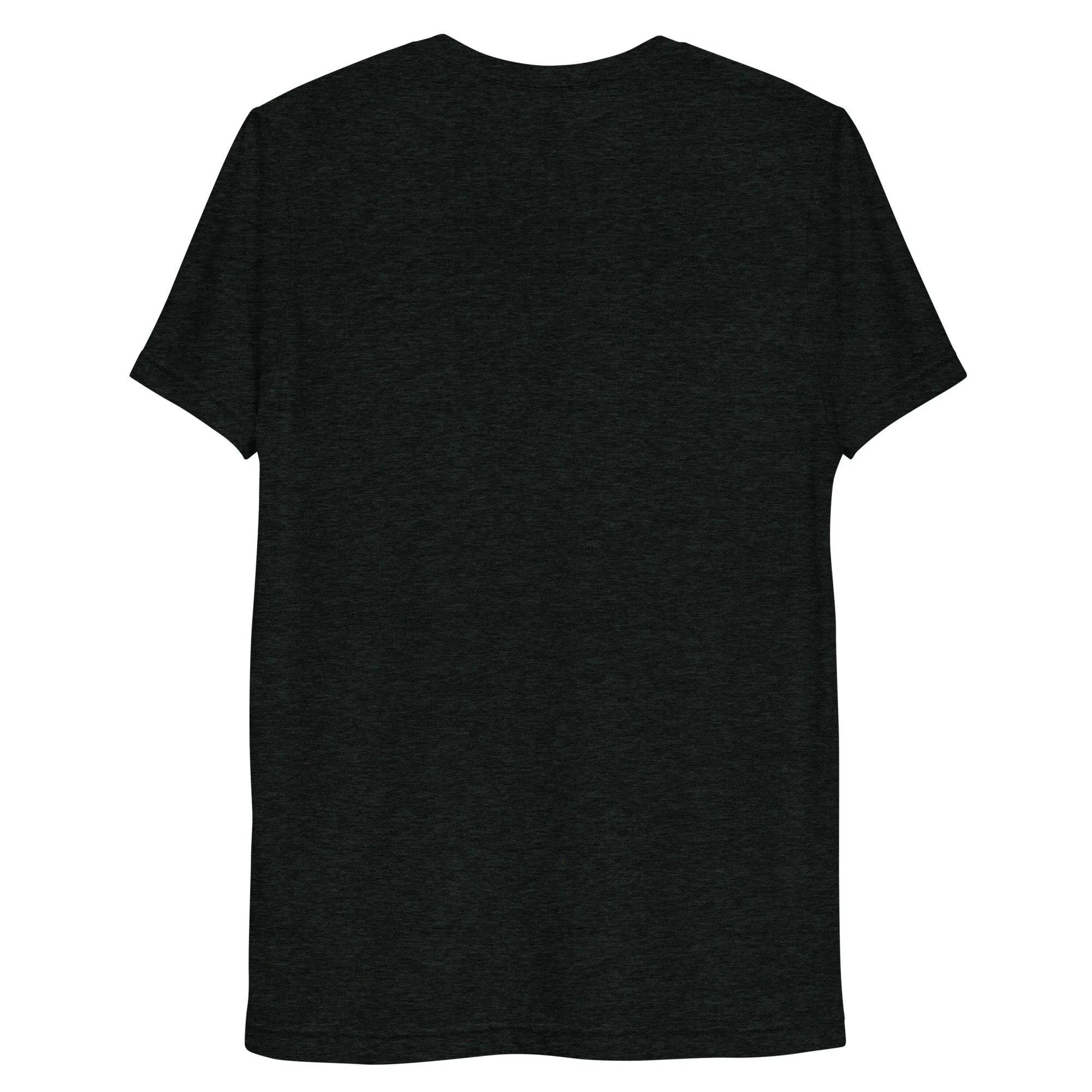 unisex-tri-blend-t-shirt-charcoal-black-triblend-back-692f8e333b5ce.jpg