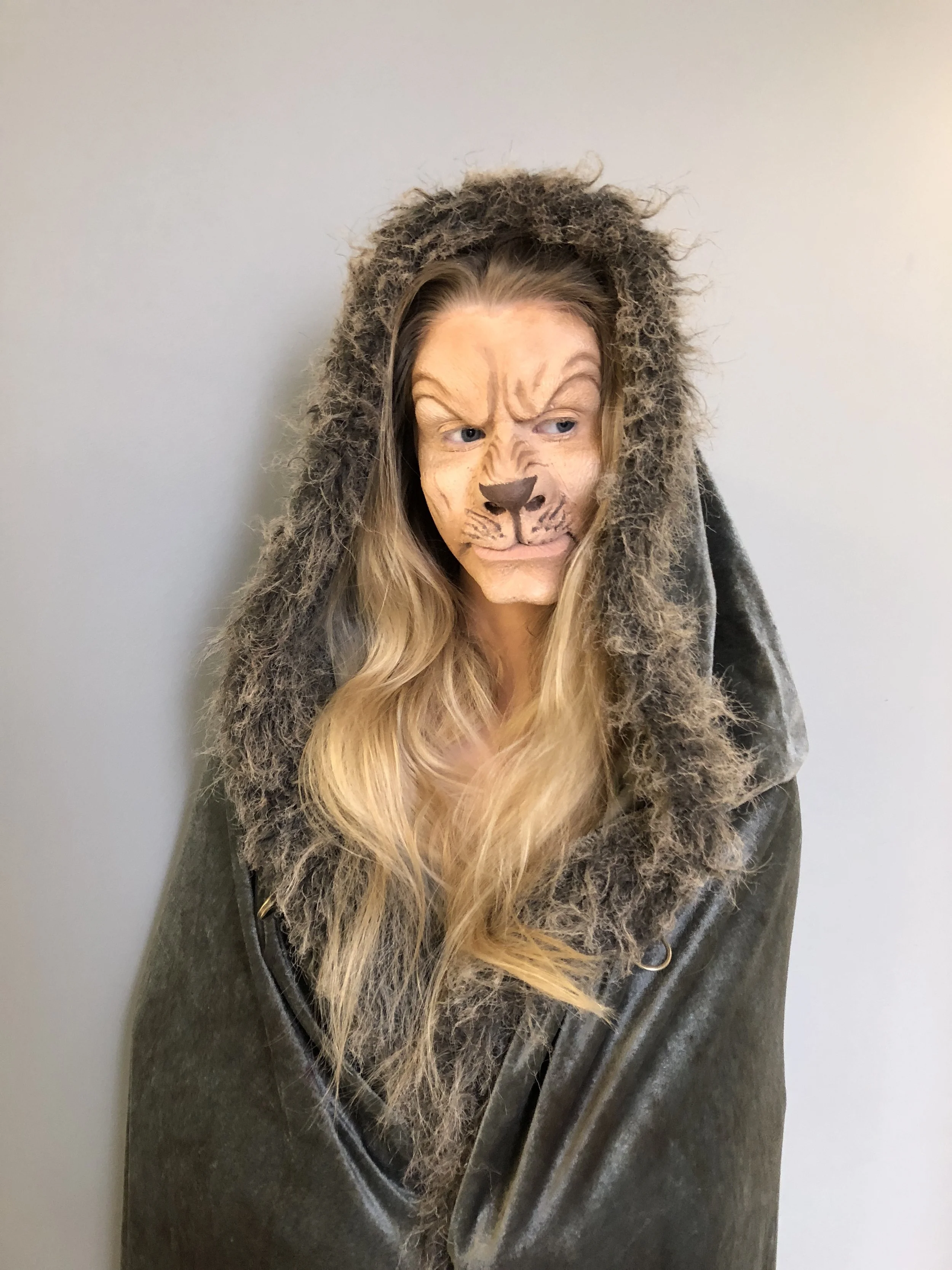 The Ferocious Lion 