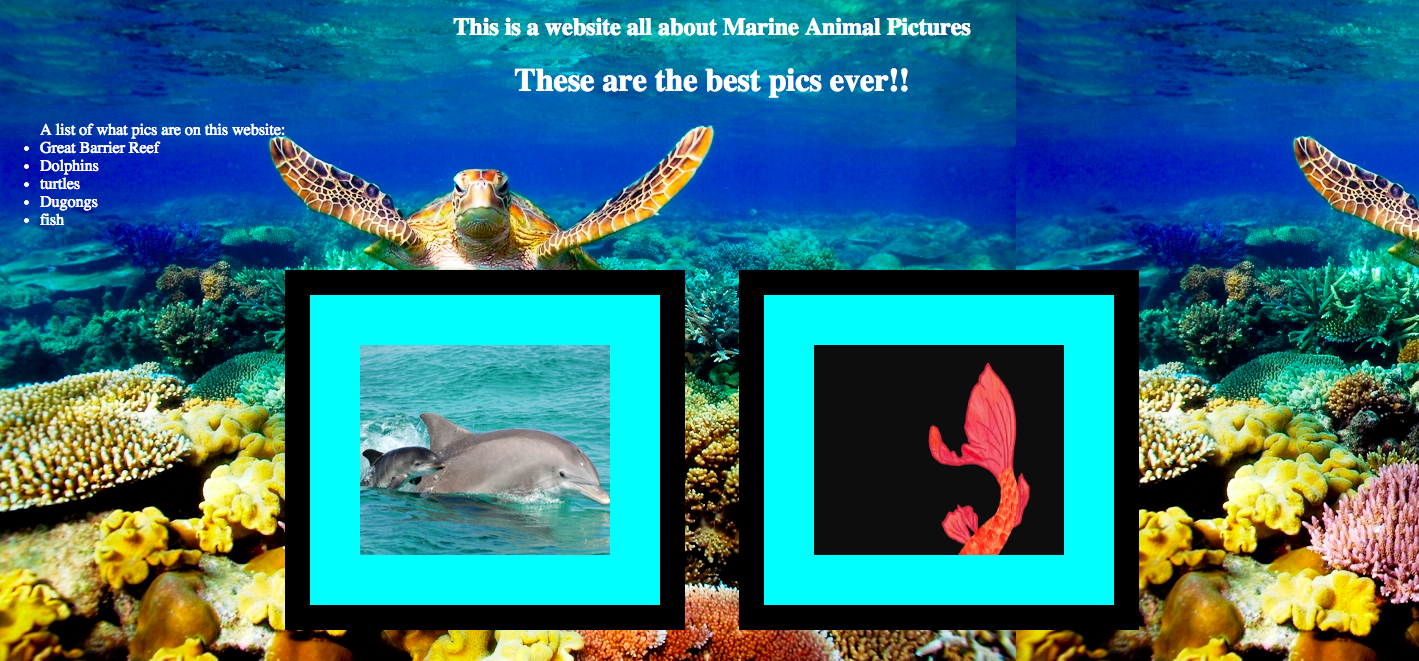 html css website design kid rangers