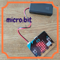 Eight Questions You Can Answer with a Micro:bit