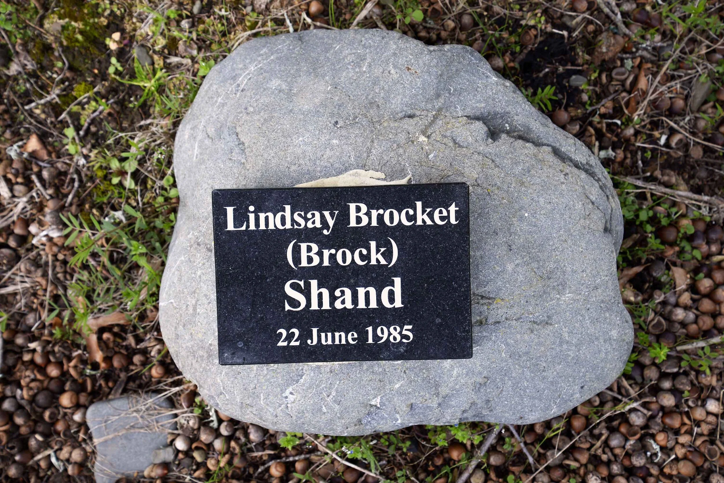 Lindsay Brocket Shand (Brock)