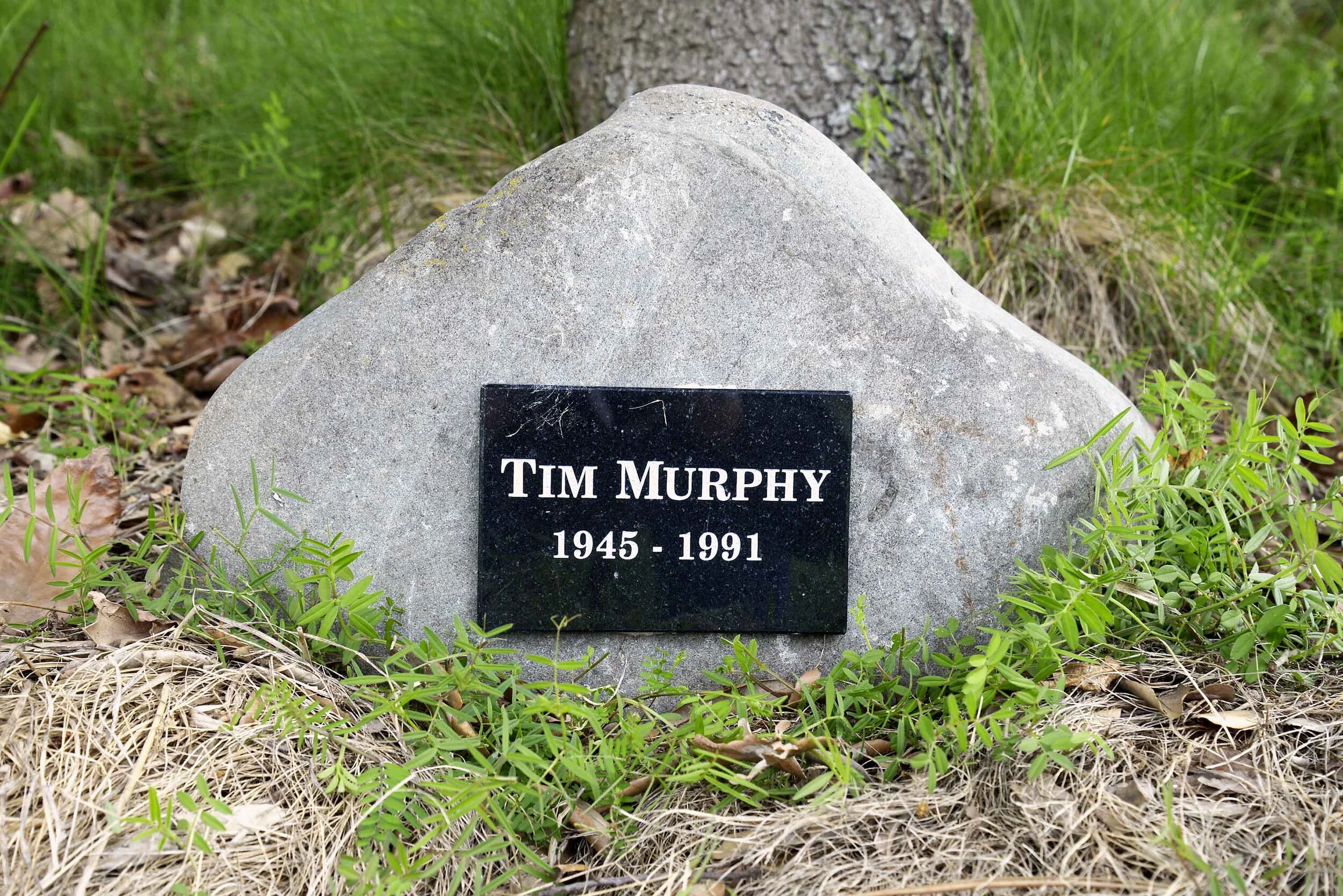 Tim Murphy