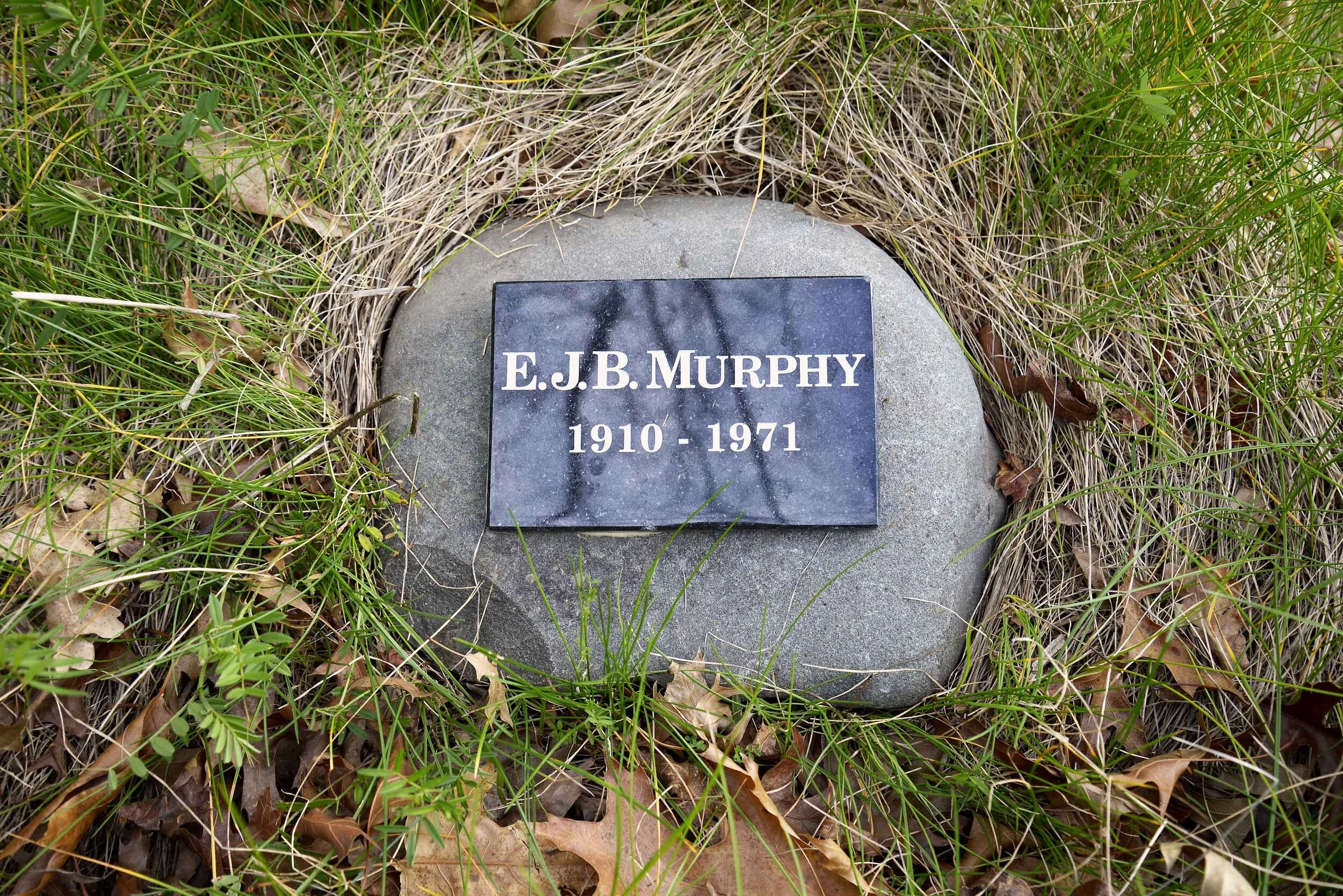 E.J.B. Murphy Forest of Memories Waipukurau