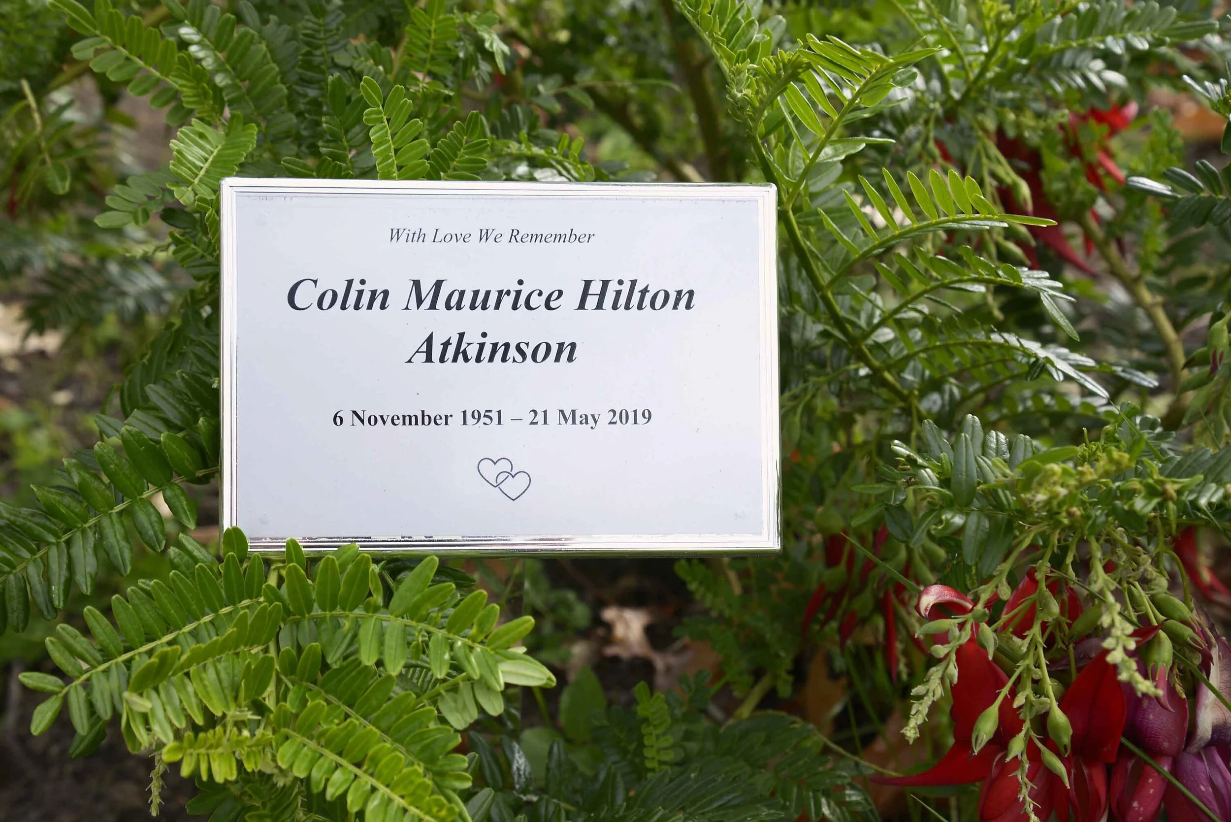 Colin Maurice Hilton Atkinson