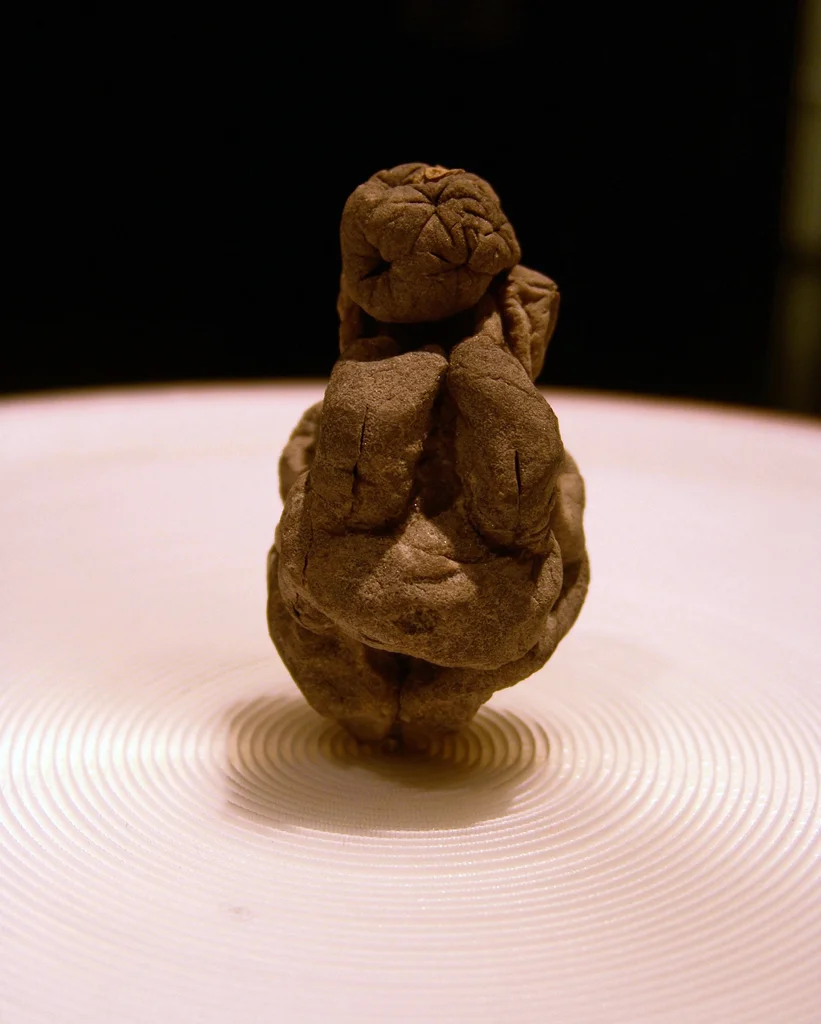 To Willendorf…a big project (det.) 2008