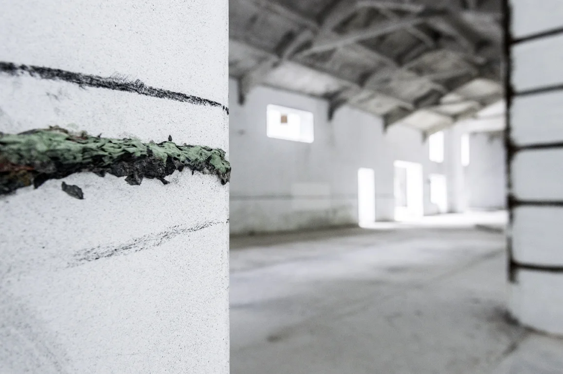The line di Phillippa Peckham, 2015 - Carta pesta e carboncino - Dimensioni ambientali - Foto Udo Koehler, Franco Dal Col, Phillippa Peckham