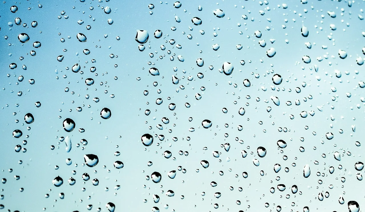 rain-455124_1280.jpg