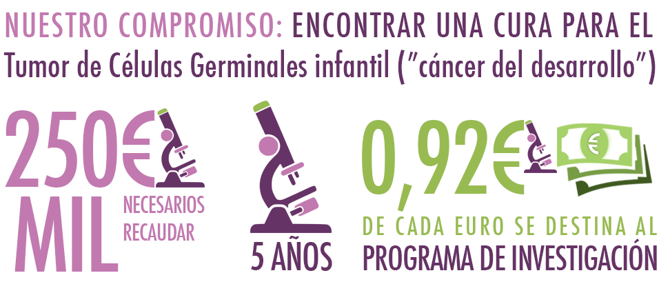 asociacion-anita-nuestro-compromiso-investigacion-tumor-celulas-germinales-germ-cell-tumor-research-jaume-mora-james-amatruda-lab-sant-joan-de-deu-barcelona-dallas