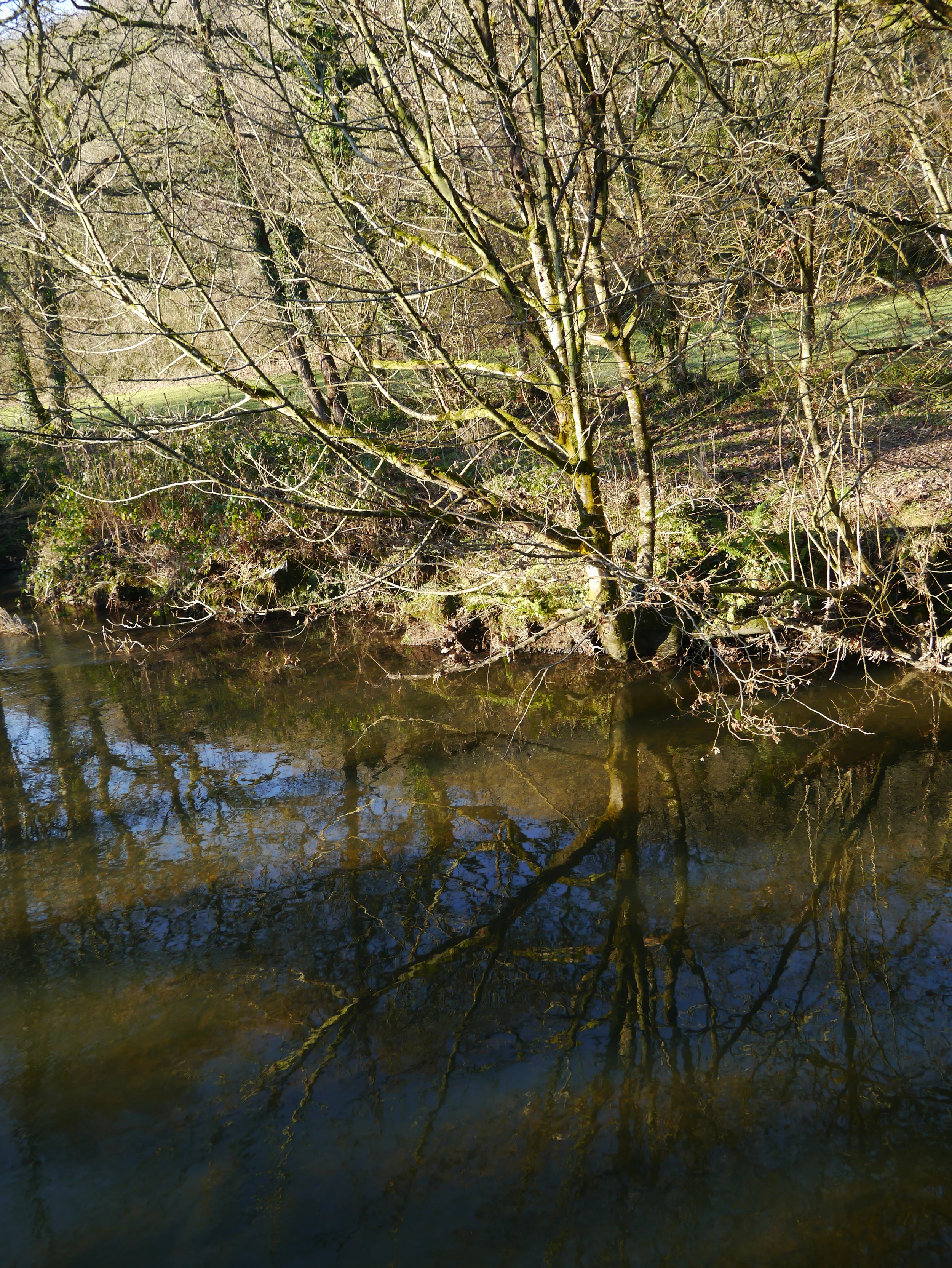 P1030461.JPG