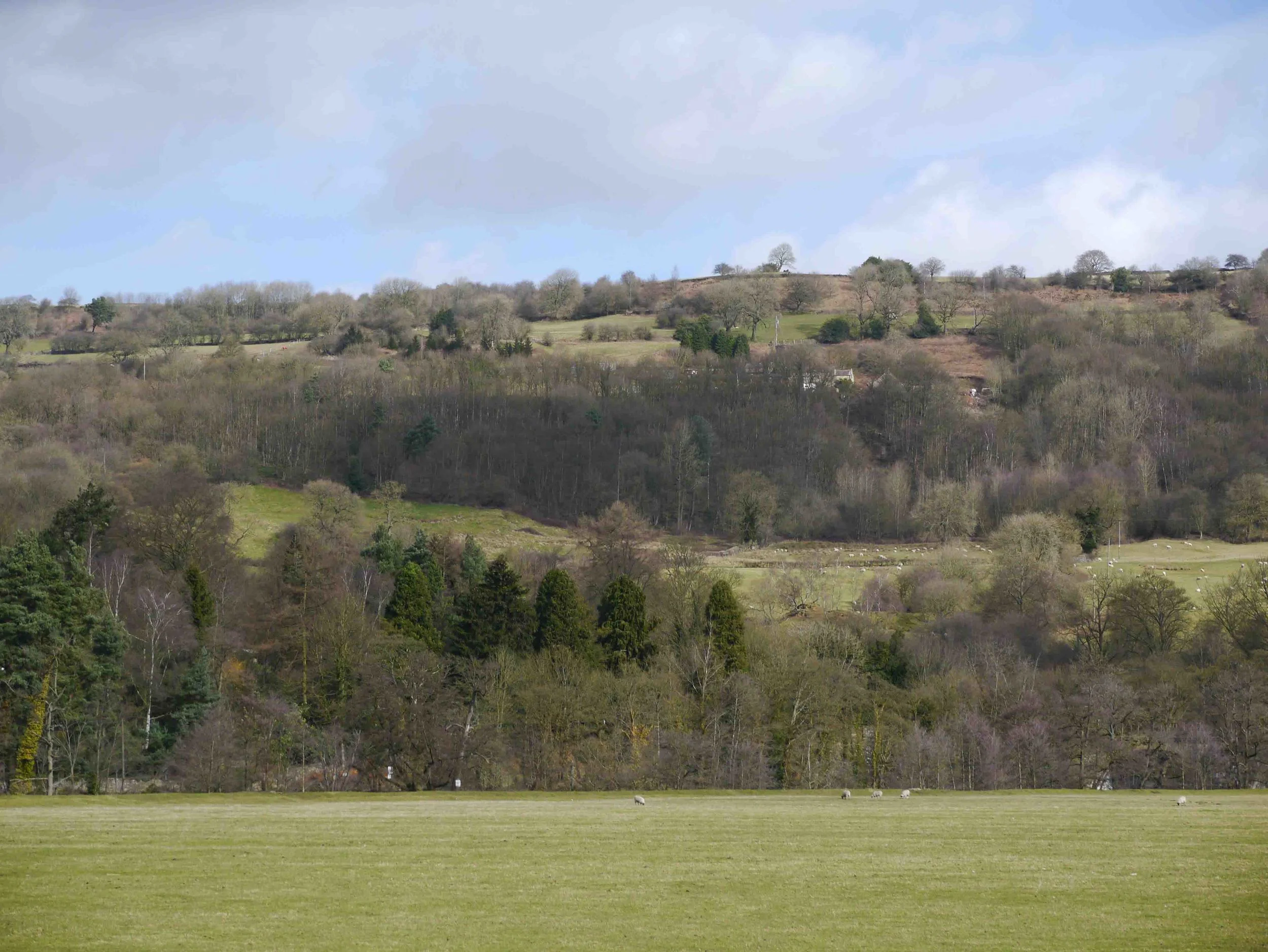 Cromford meadows