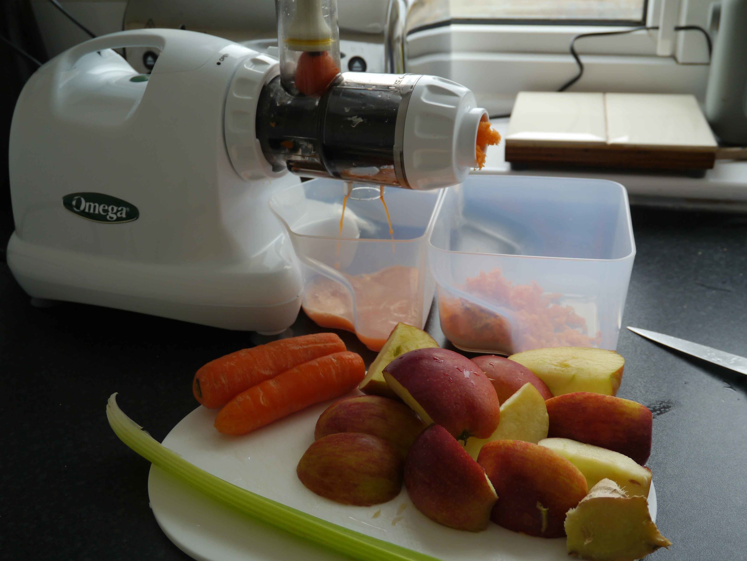 omega juicer1.jpg