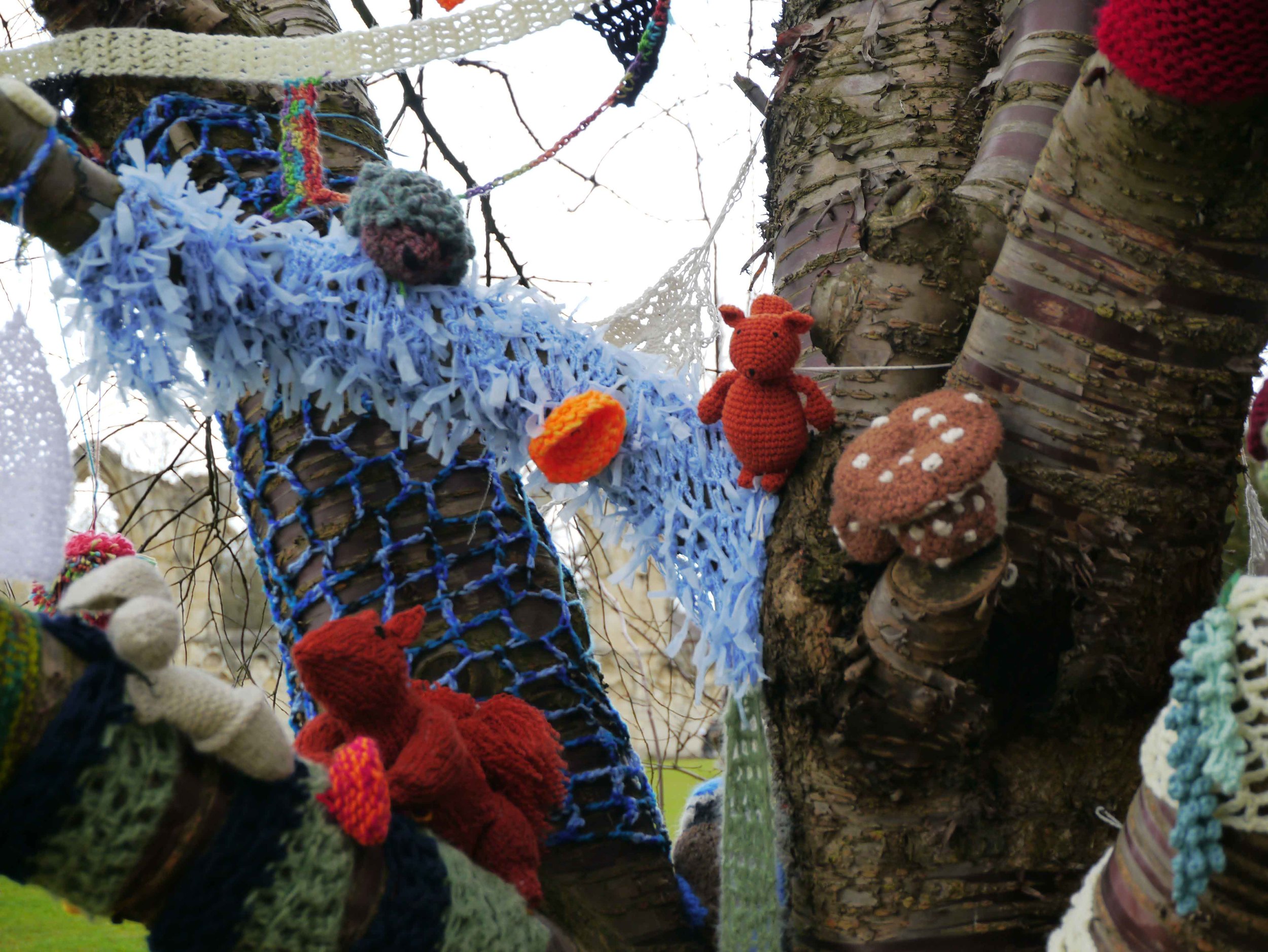 Yarn bombing in York Museum Gardens 3.jpg