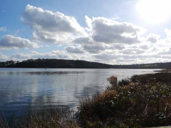 Ogston Reservoir