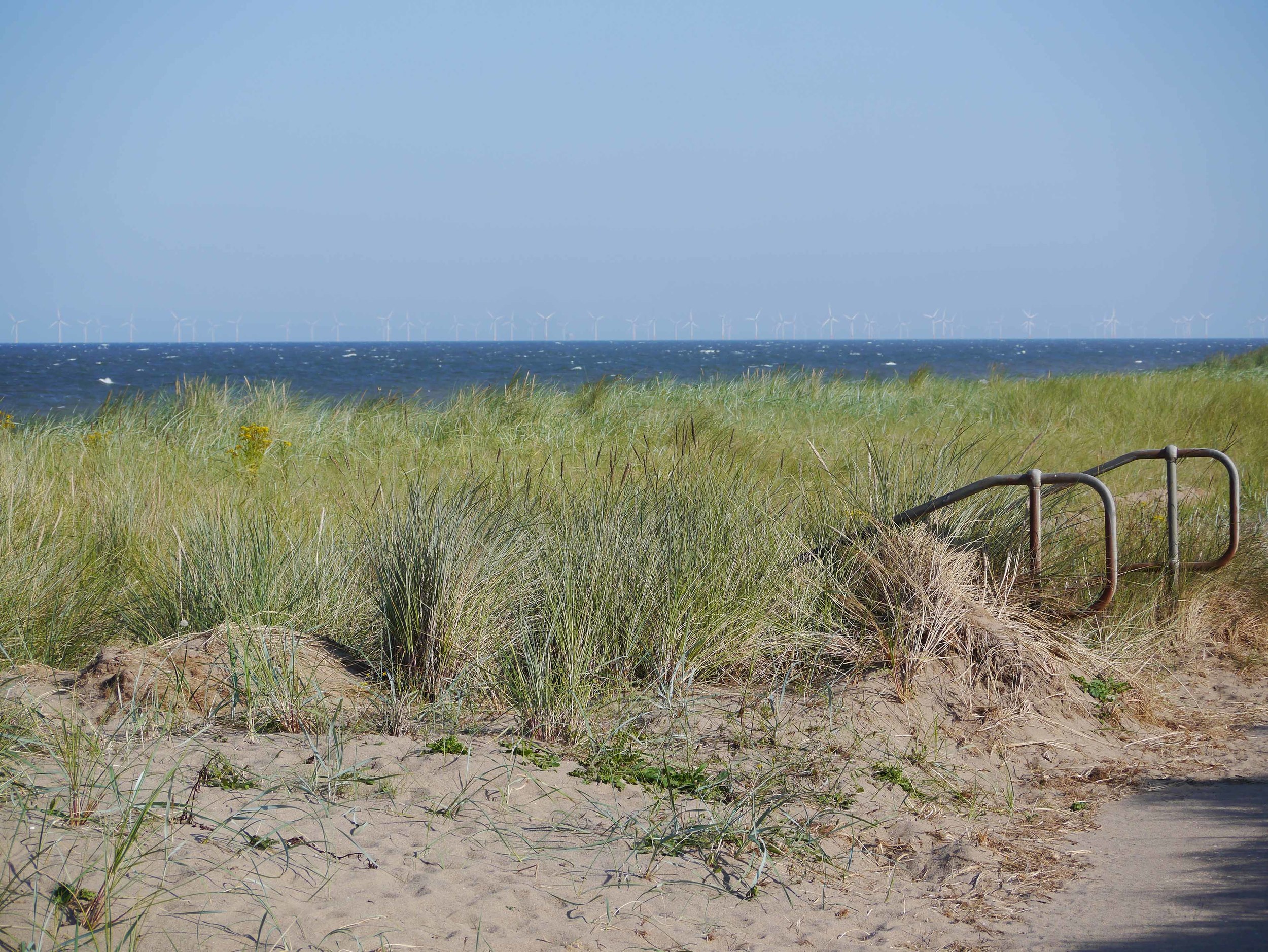 Dune steps