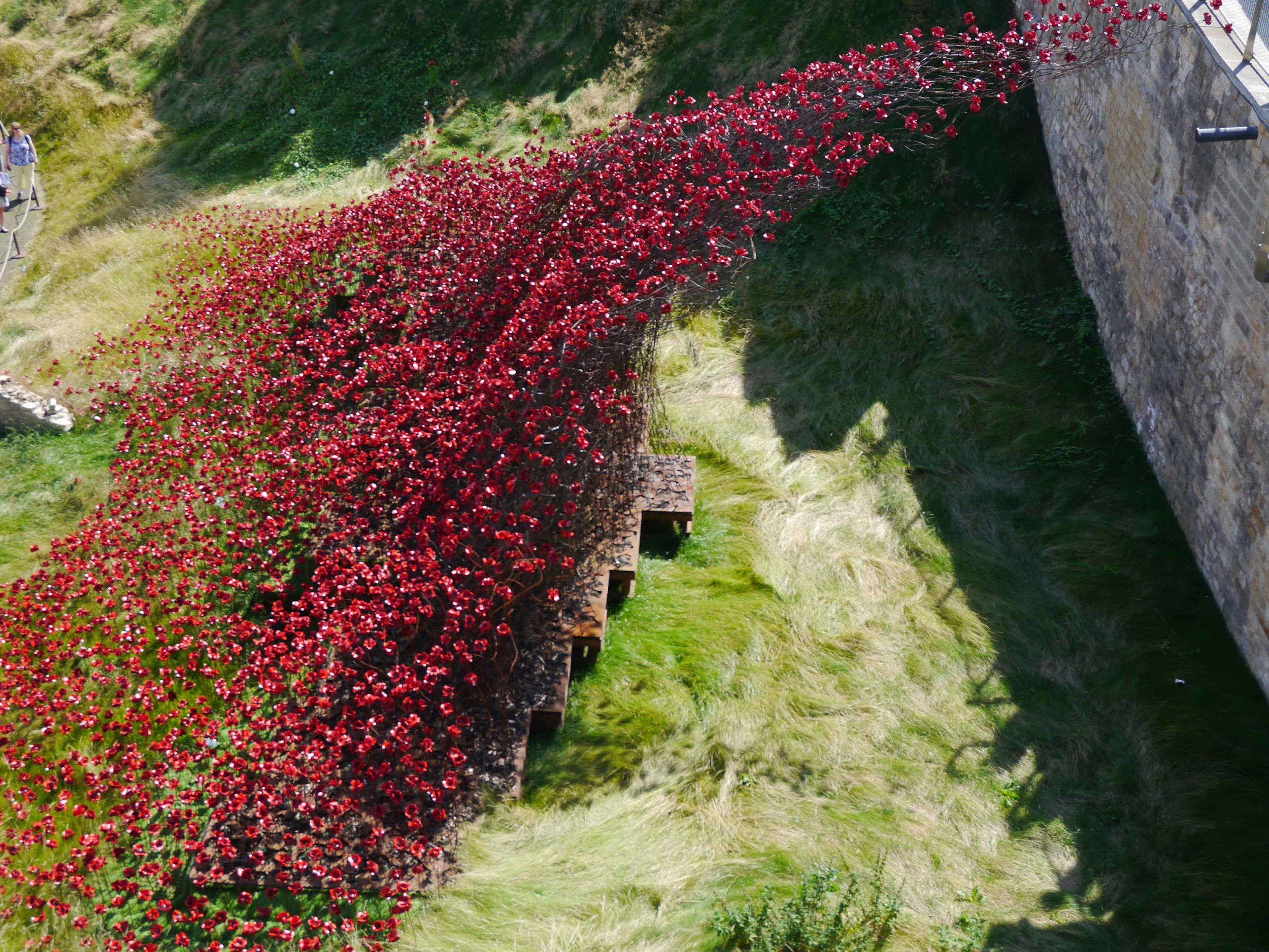 Lincoln Castle Poppy Wave