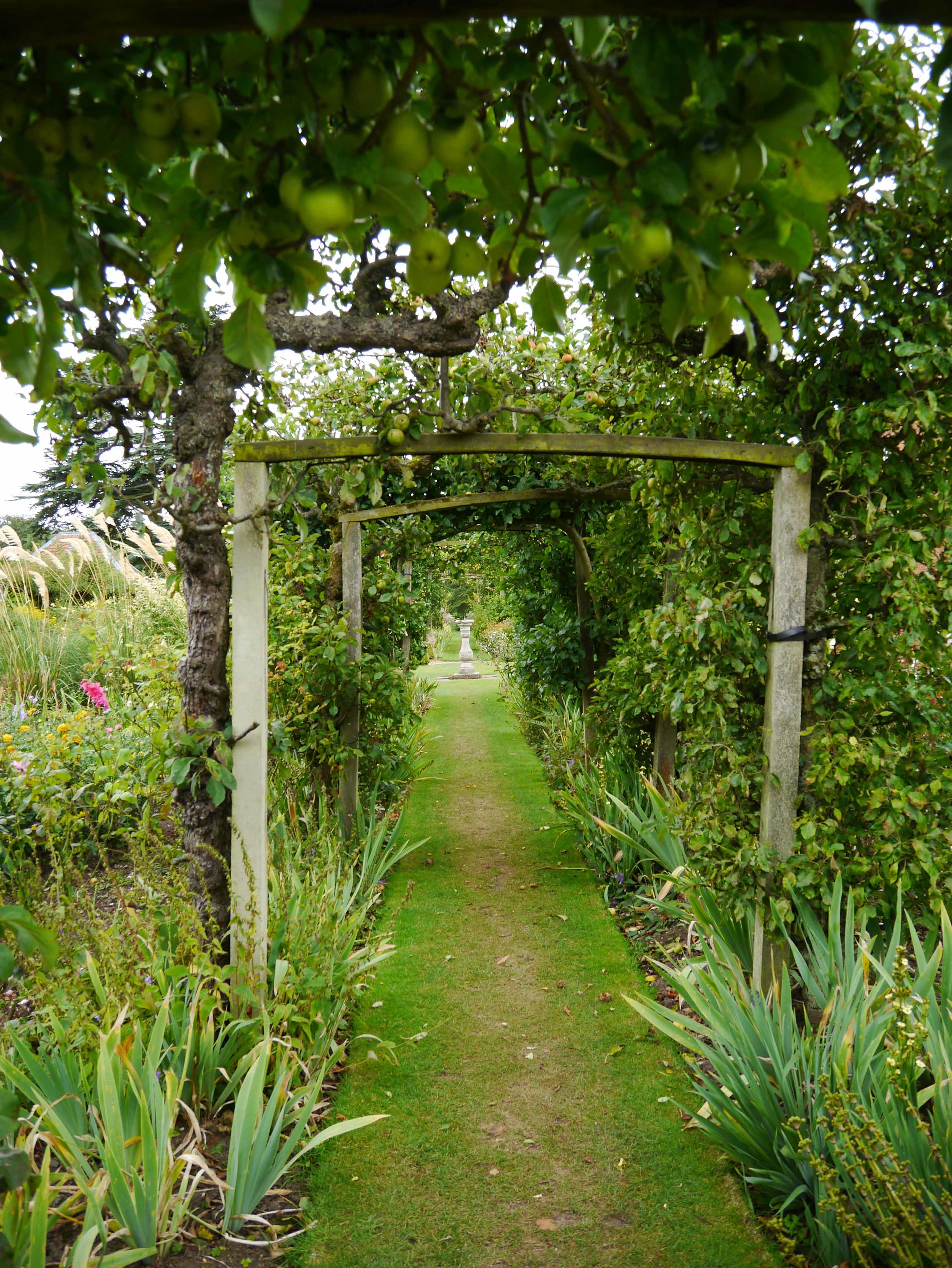 Gunby Hall - apple tree arches