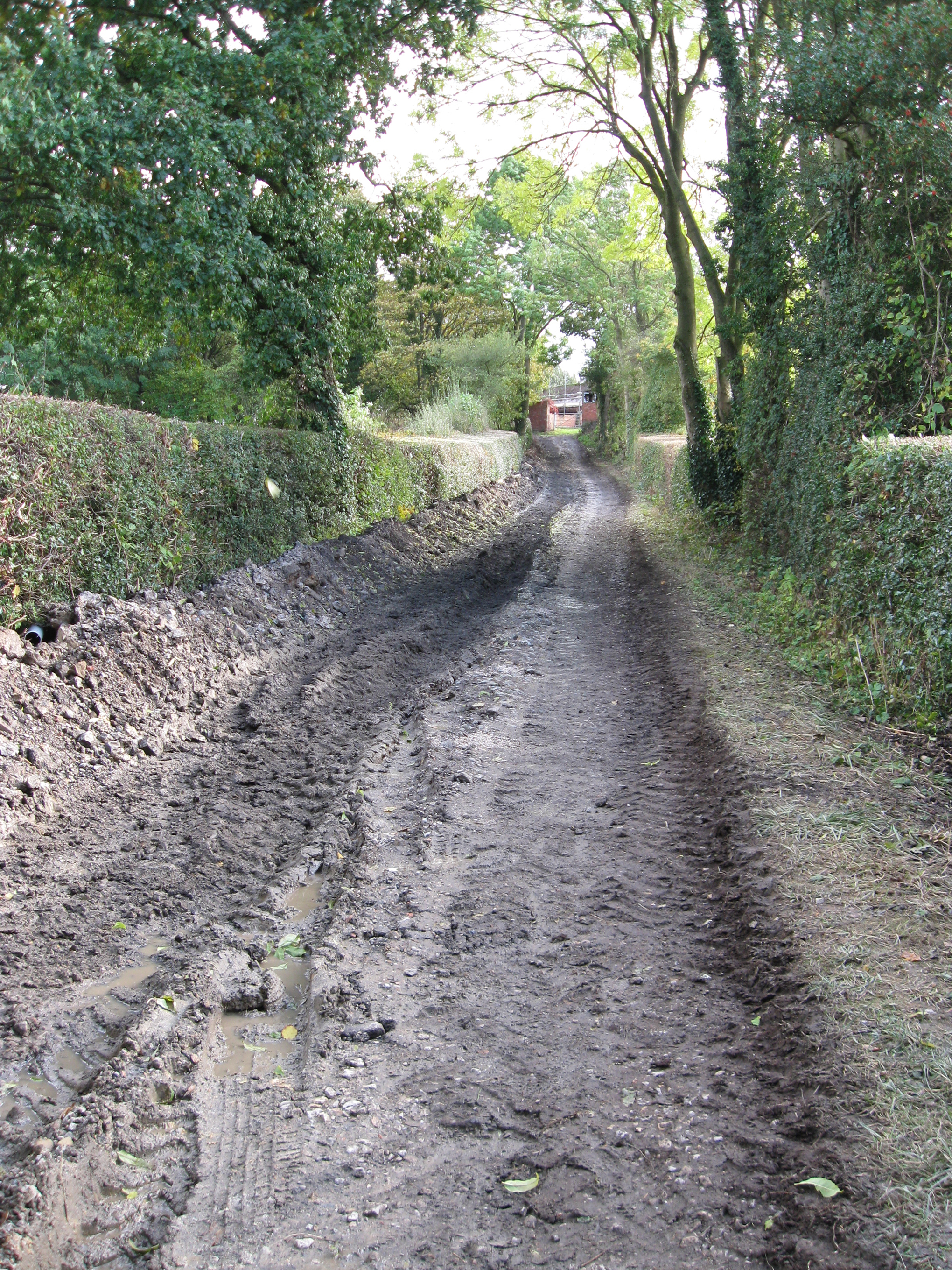  Mud, mud, glorious mud 