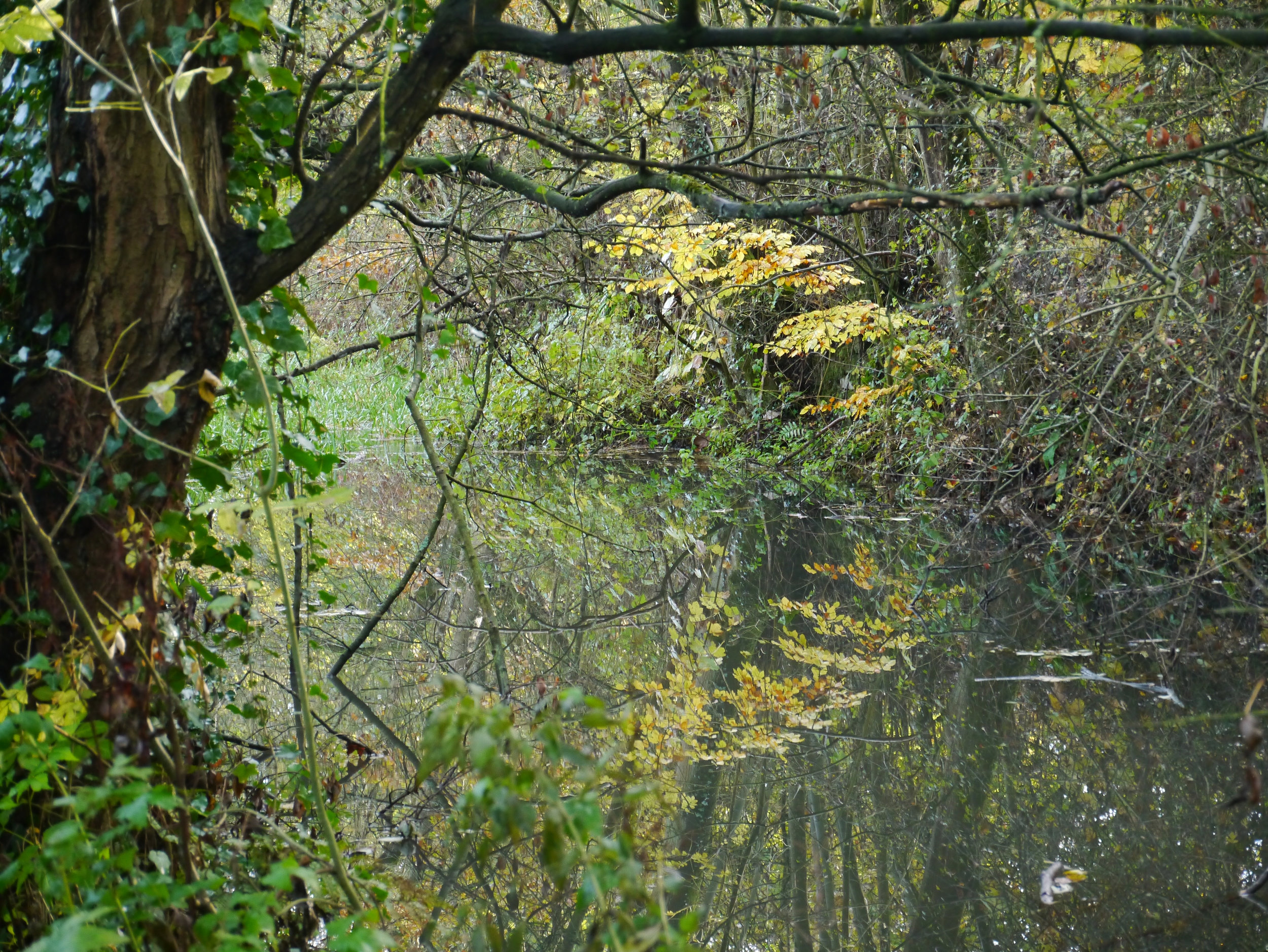 Cromford canal