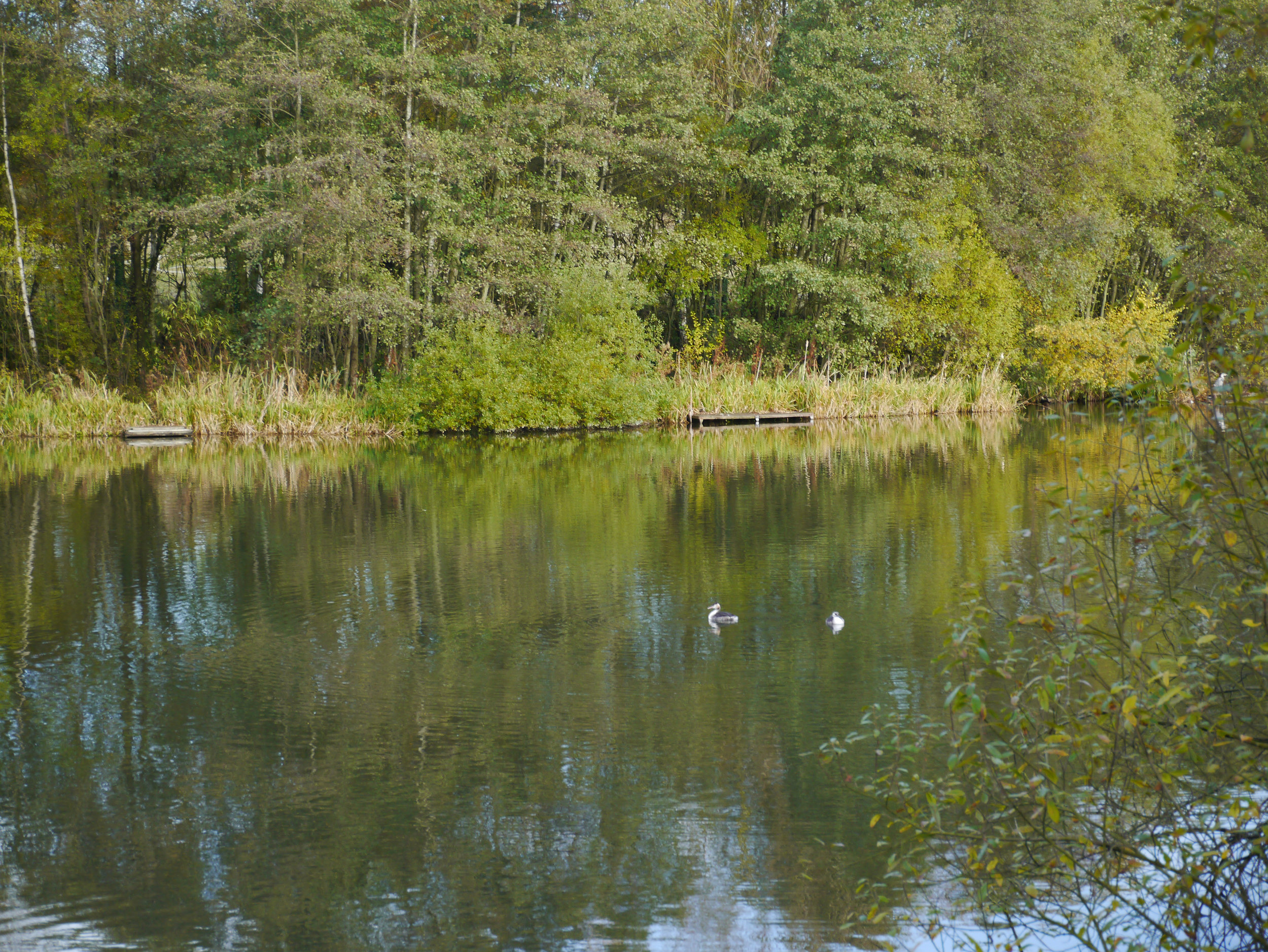 Codnor Reservoir