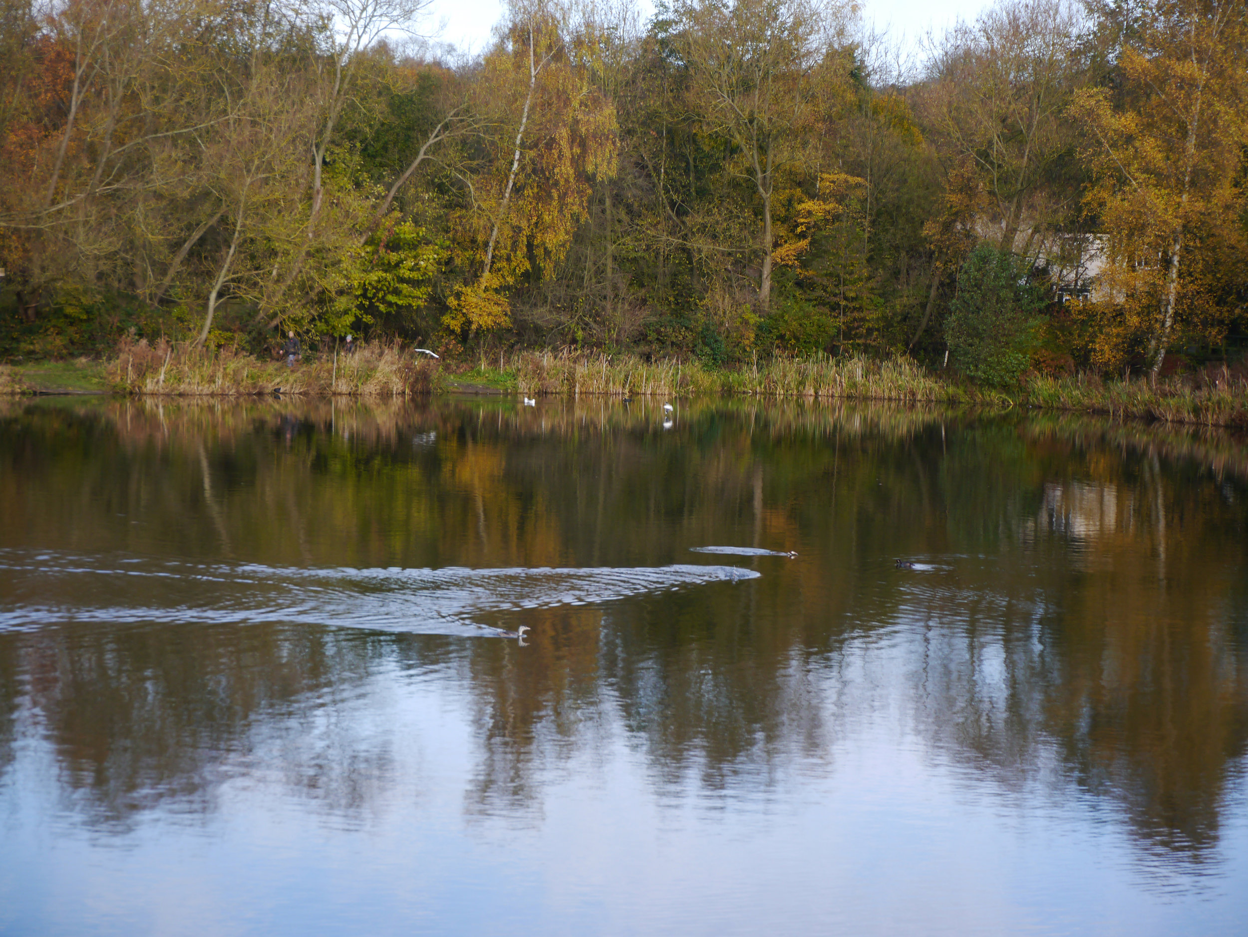 more Codnor reservoir